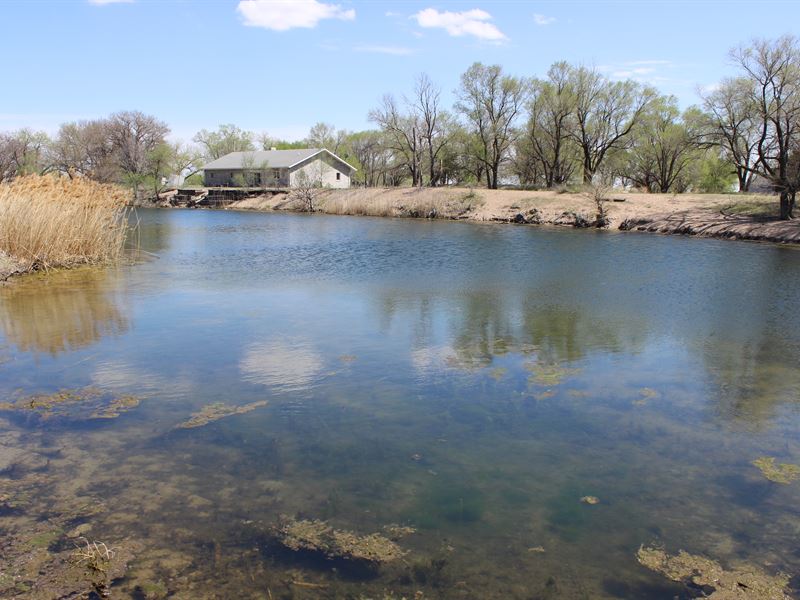 Lexington Waterfowl Property : Lexington : Dawson County : Nebraska