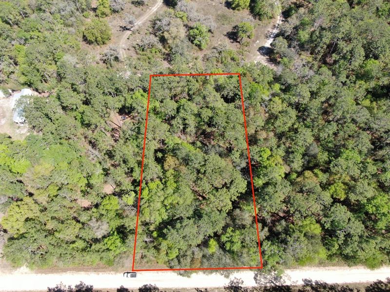 Beautiful One Acre Recreational Lot : Lee : Madison County : Florida