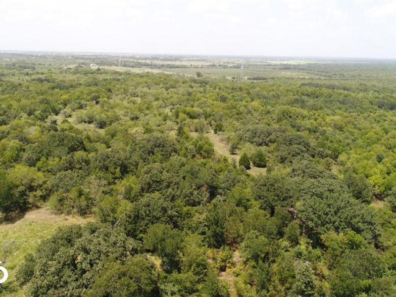 10 Ac Near Scurry, Timber, Rolling : Scurry : Kaufman County : Texas