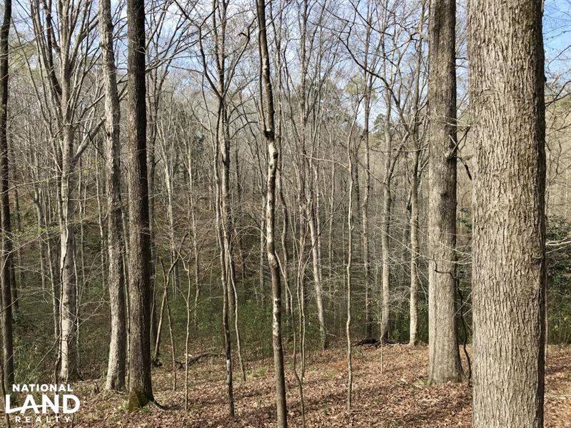 Shop Road Butler Hunting and Timber : Butler : Choctaw County : Alabama