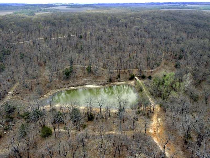 Little Ozarks, 40 Acres in Wils : Coyville : Wilson County : Kansas