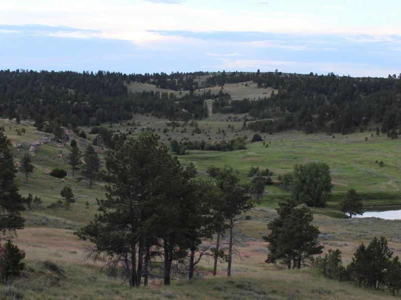 Cabin Creek Ranch : Sheridan : Sheridan County : Wyoming
