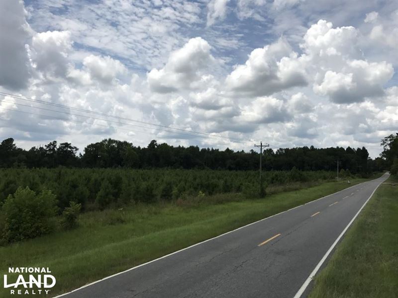 Buttermilk Rd Homesite/Timber : Sylvania : Screven County : Georgia