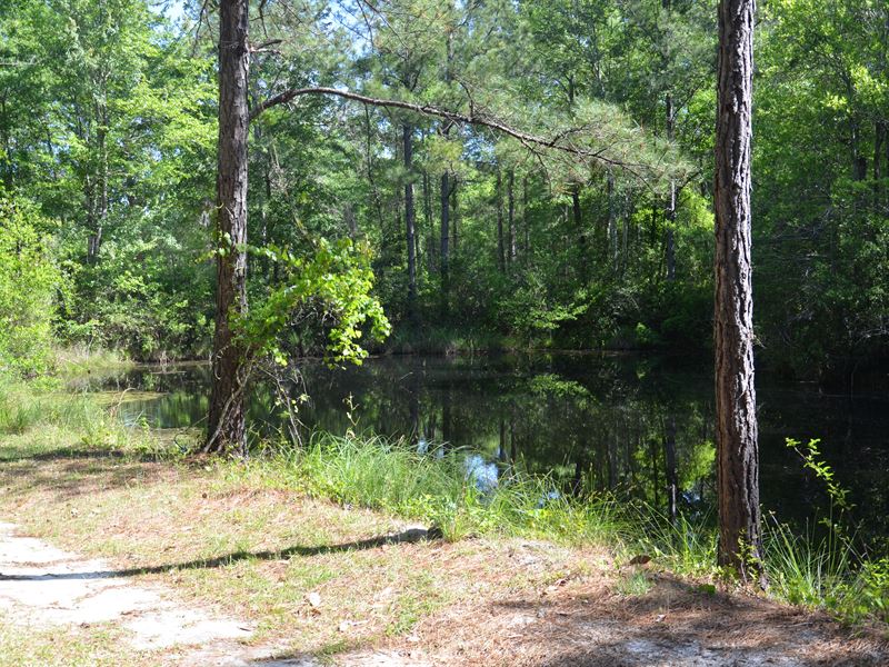 Marlow Plantation : Guyton : Effingham County : Georgia
