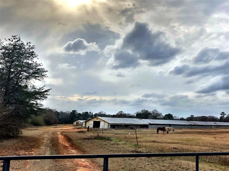 Houston County Mini Farm Farm for Sale in Perry, Houston County