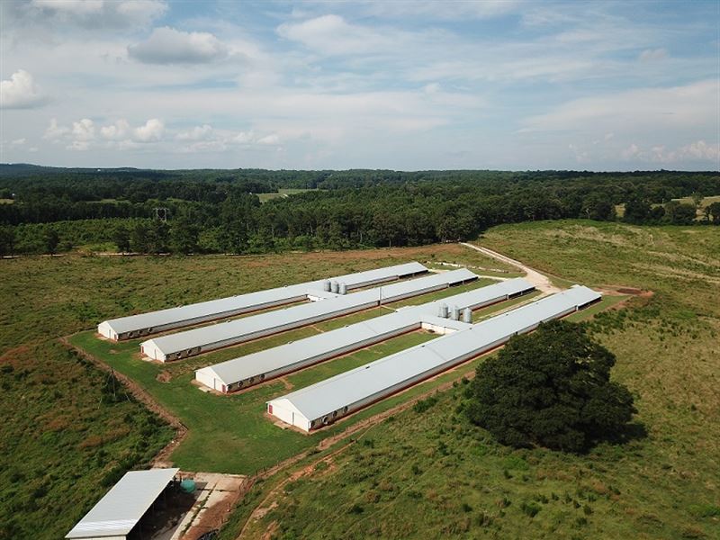 Thomas Poultry, Four Broiler Houses Farm for Sale in Ranburne