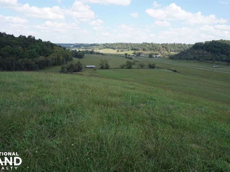 2,417 Acre Cattle Farm & Hunting Pr : Lynnville : Giles County : Tennessee