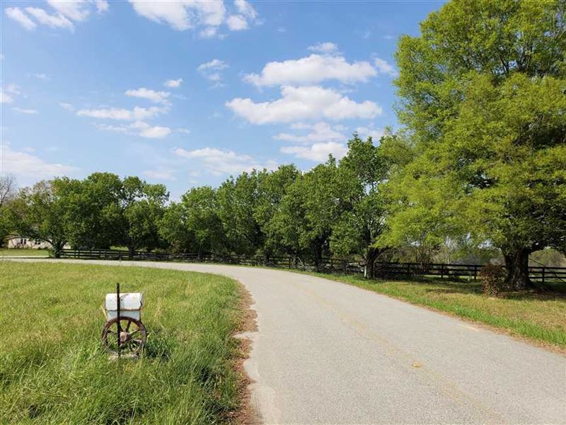 54 Acre Farm with Pond in Lanca, Farm for Sale in South Carolina