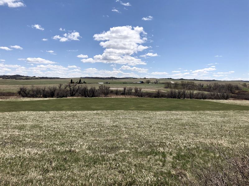Lake Gulch Live Water Acreage : Castle Rock : Douglas County : Colorado