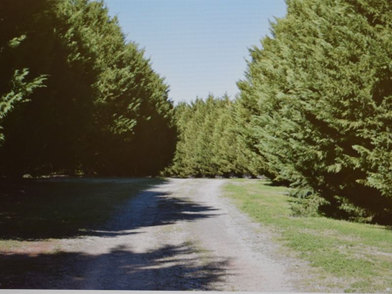 Beautiful Riverfront, Lodge, Pond : Carnesville : Franklin County : Georgia