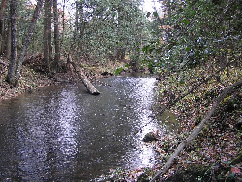67 Acres Next To The State Park : Dunlap : Sequatchie County : Tennessee