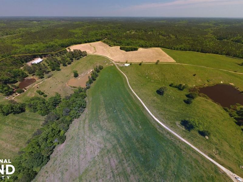 GD Smith Cattle Farm : Clinton : Laurens County : South Carolina