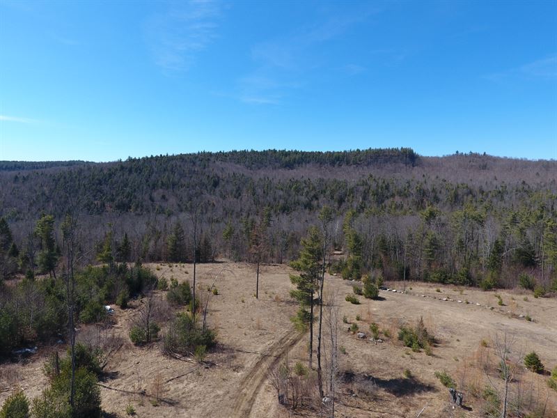 Alder Brook Forest : Horicon : Warren County : New York