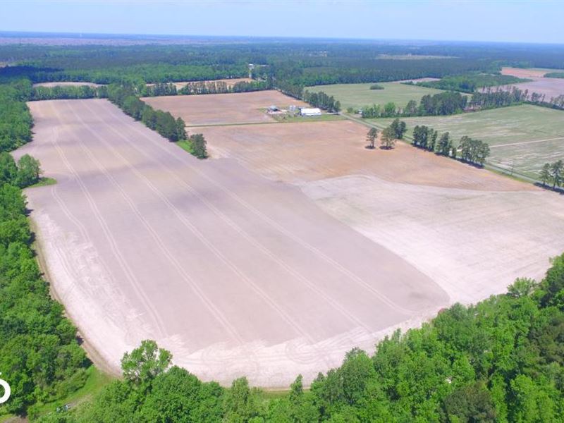 South Honey Hill Farm : Hallsboro : Columbus County : North Carolina