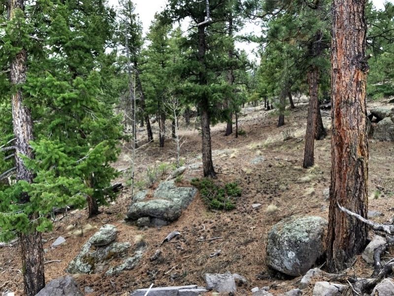 Willow Park Lot 103 : South Fork : Rio Grande County : Colorado