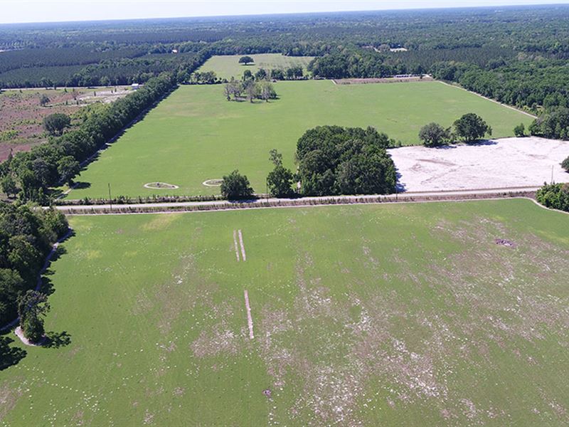 Hardee Farms in Chiefland, Florida, Farm for Sale in Florida, 148859