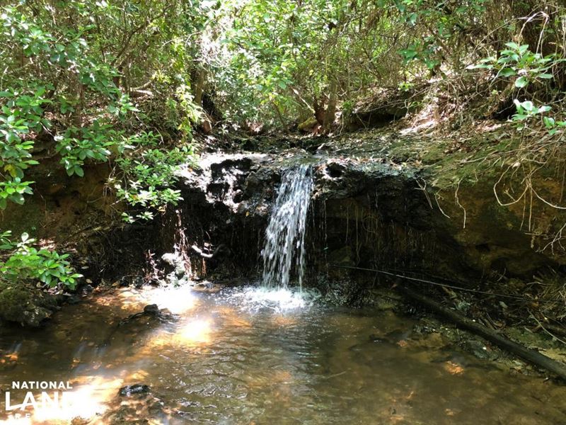 Evergreen Waterfall Farm and Timber : Evergreen : Conecuh County : Alabama