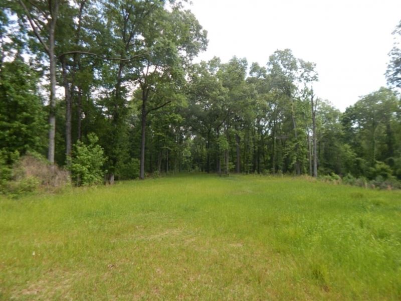 501 Acres in Adams County in Natche : Sibley : Adams County : Mississippi