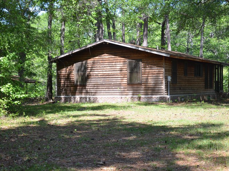 Ebenezer Creek Paradise : Rincon : Effingham County : Georgia