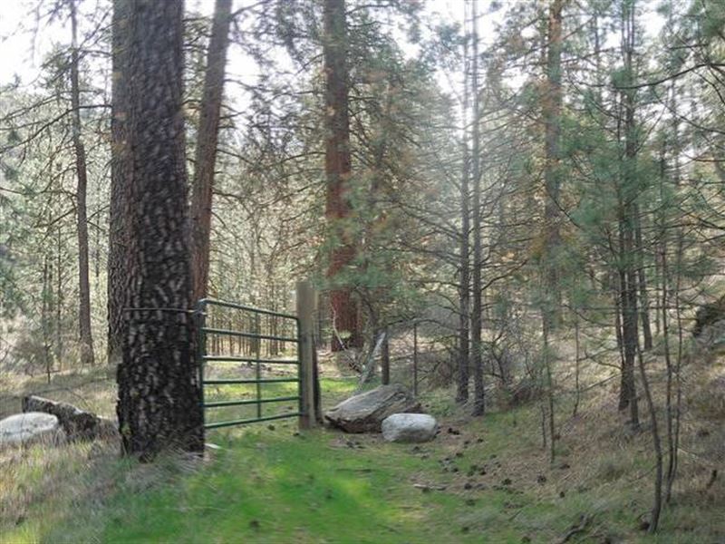 Winterwood Of Two Rivers : Davenport : Lincoln County : Washington