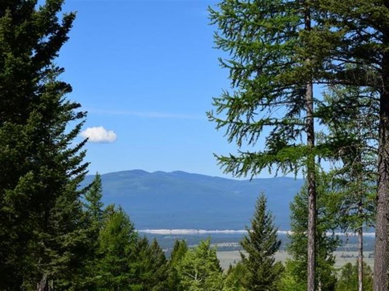 Caribou Grounds : Eureka : Lincoln County : Montana
