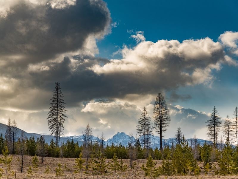 Cougar Run Lot 4 : Condon : Missoula County : Montana