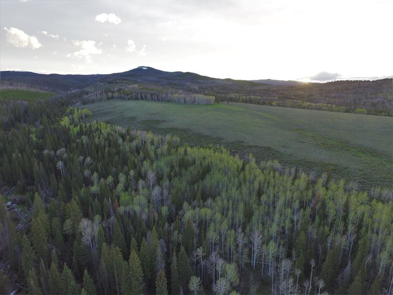 Encampment Ranch, Farm for Sale in Wyoming, 149018 FARMFLIP