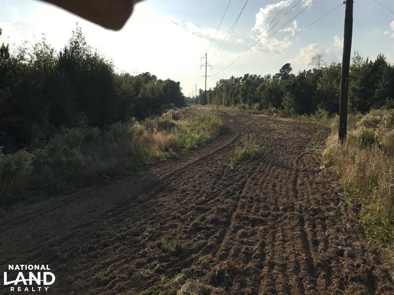 Elko Small Hunting & Recreational : Elko : Barnwell County : South Carolina