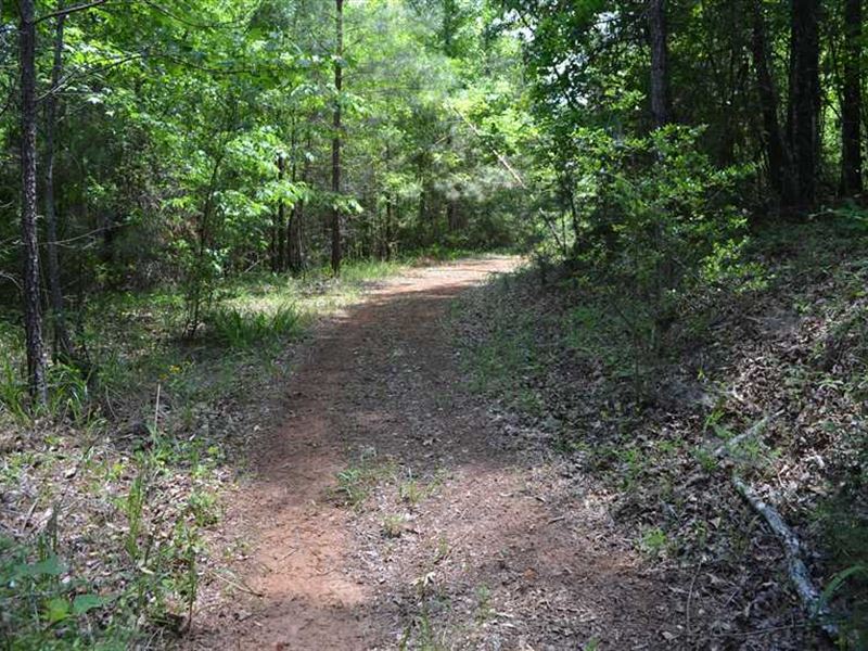 47.5 Acres Inside Prattville City : Prattville : Autauga County : Alabama