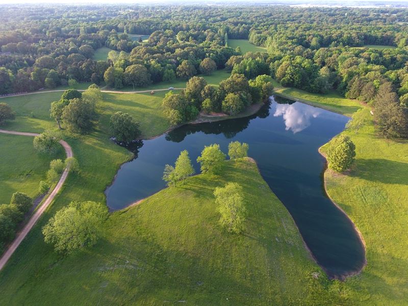 Rolling Pasture Land - 4 Ac. Lake : Senatobia : Tate County : Mississippi