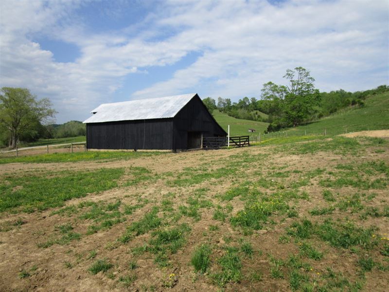 60 Acre Farm In Metcalfe County, Ky Farm for Sale in Edmonton