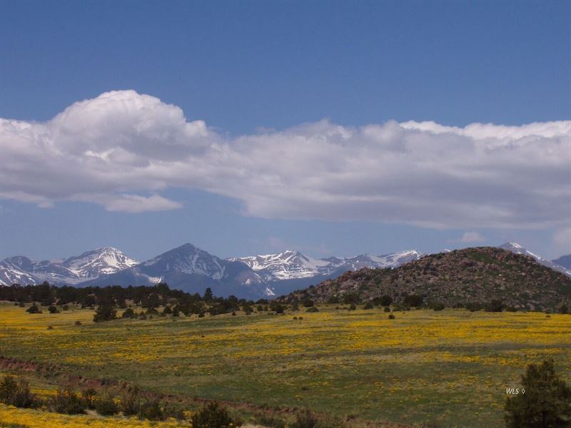 Mountain Paradise in Westcliffe : Westcliffe : Custer County : Colorado
