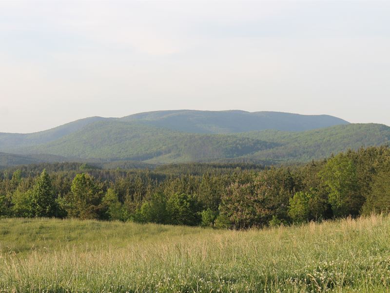 Mountain View Farm : Ashland : Clay County : Alabama