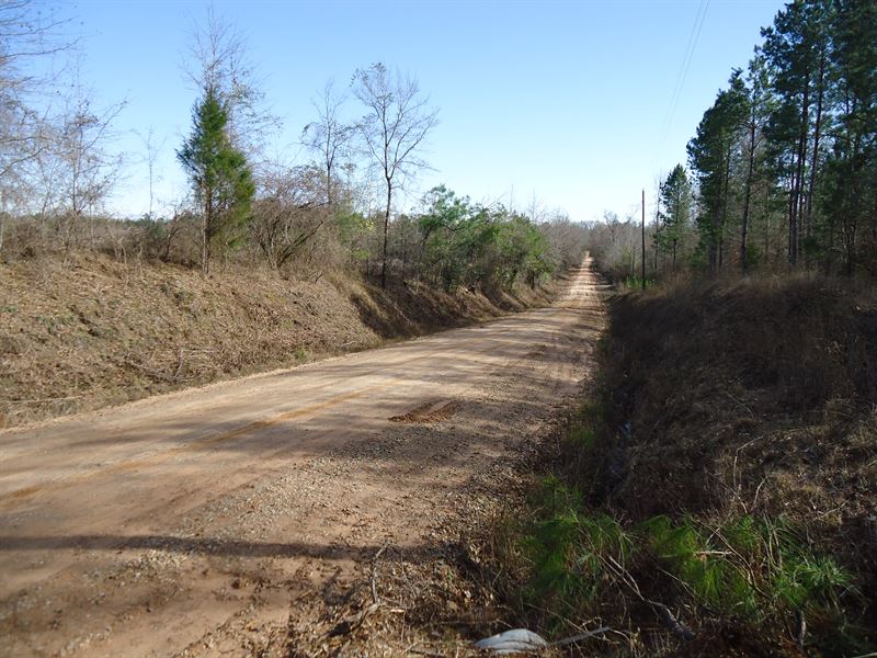 Awesome Hunting for Cheap : McIntyre : Wilkinson County : Georgia