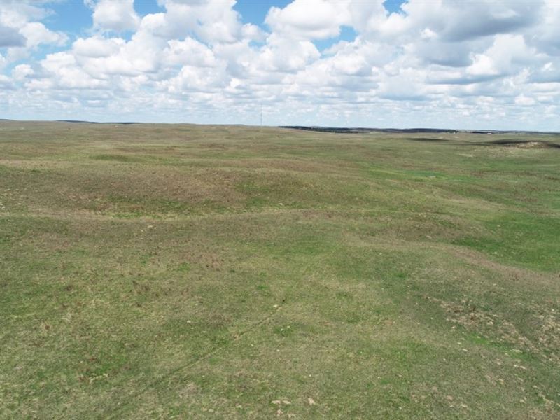 Highway 83 Pasture : North Platte : Lincoln County : Nebraska