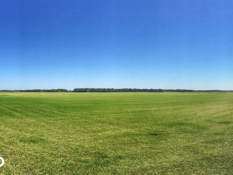 Baldwin County Sod Farm : Foley : Baldwin County : Alabama