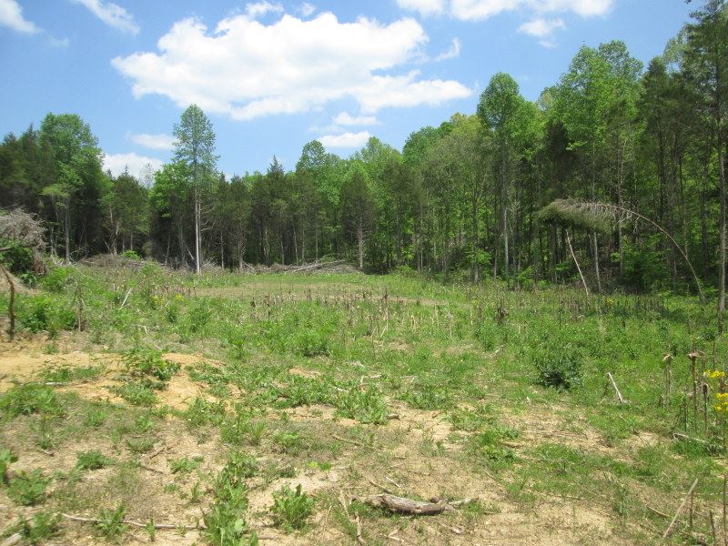 130 Acres in Hart County, Ky : Magnolia : Hart County : Kentucky