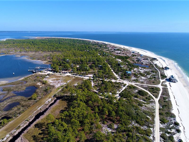 Dog Island Acreage In Carrabelle : Carrabelle : Franklin County : Florida