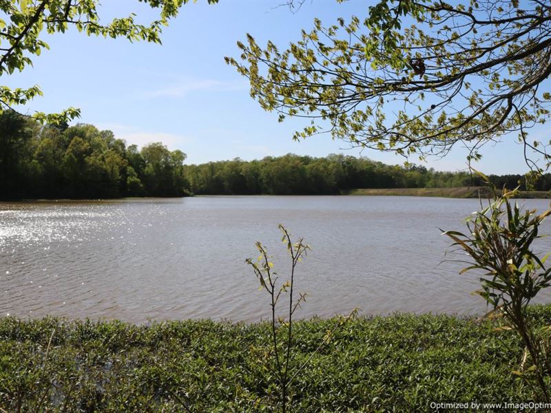 Outstanding Recreational Property : Tillatoba : Tallahatchie County : Mississippi
