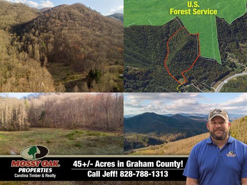 45 Acres Graham Co. Mountains Bo : Robbinsville : Graham County : North Carolina