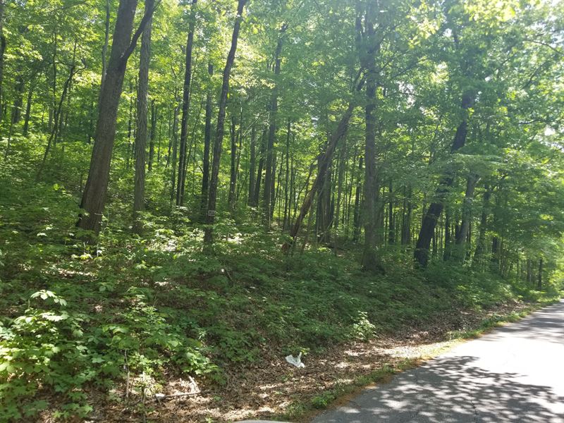 8.00+/-Acres Unrestricted Wooded : Beersheba Springs : Grundy County : Tennessee