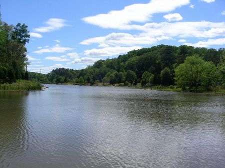 Lake Russel 5 Acres : Abbeville : Abbeville County : South Carolina