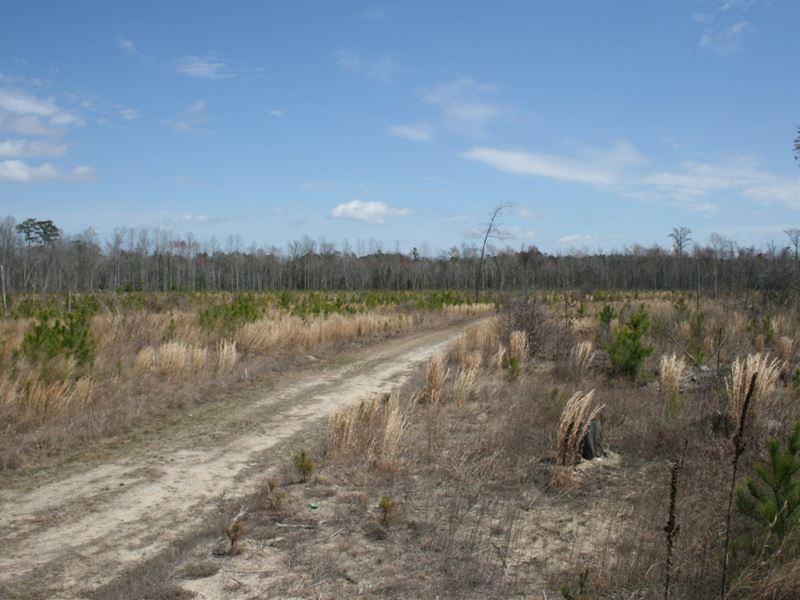 A.C.L Brown : Eure : Gates County : North Carolina