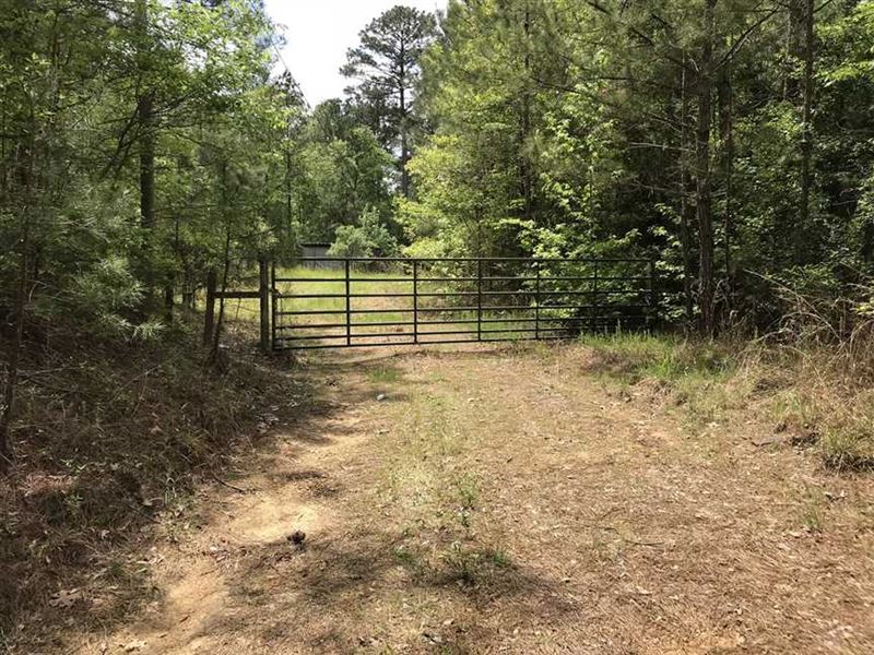 Big Price Reduction, 83 Acre Su : Carthage : Leake County : Mississippi