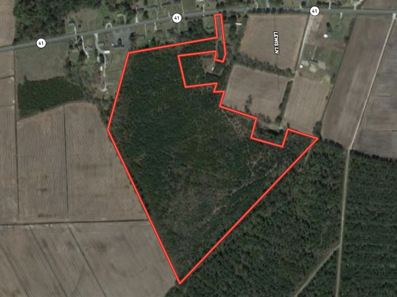 48.36 Acres of Re : Trenton : Jones County : North Carolina