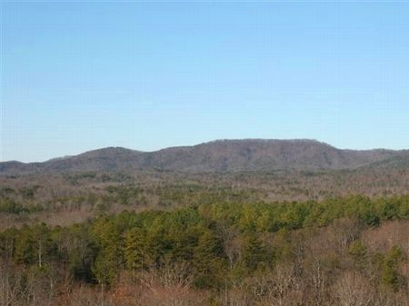 Coneross Creek Tract : Walhalla : Oconee County : South Carolina