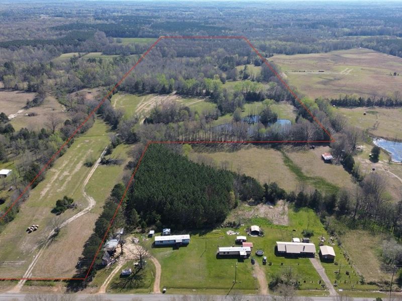 Pasture and Hunting Land in Montpel : Cedar Bluff : Clay County : Mississippi