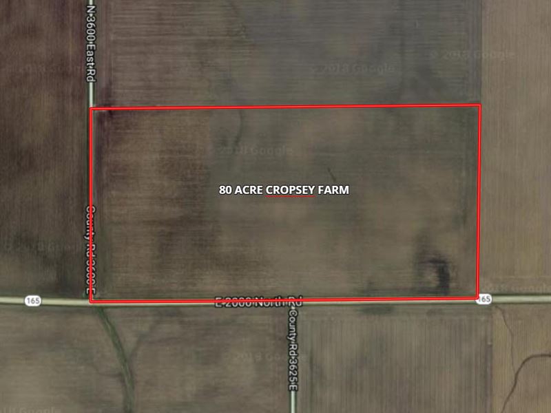 81 Acre Cropsey Farm : Cropsey : McLean County : Illinois