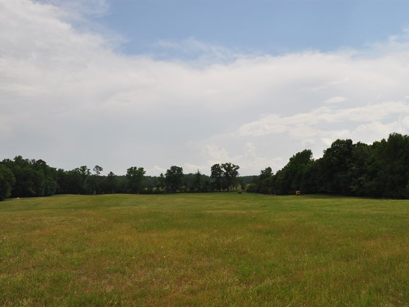 Long Meadow Tract-B : Greensboro : Greene County : Georgia