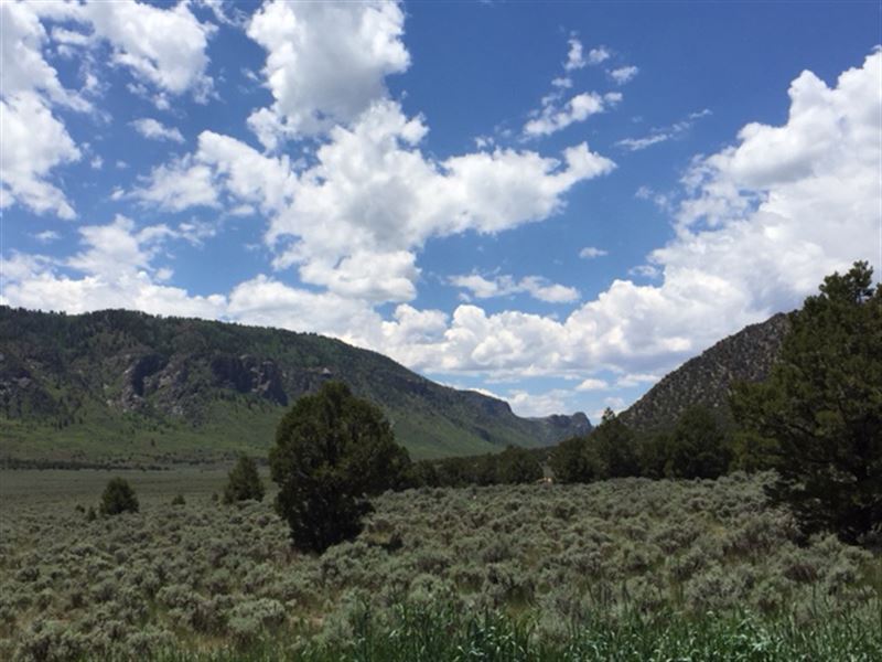 Divide Creek Ranch : Whitewater : Mesa County : Colorado